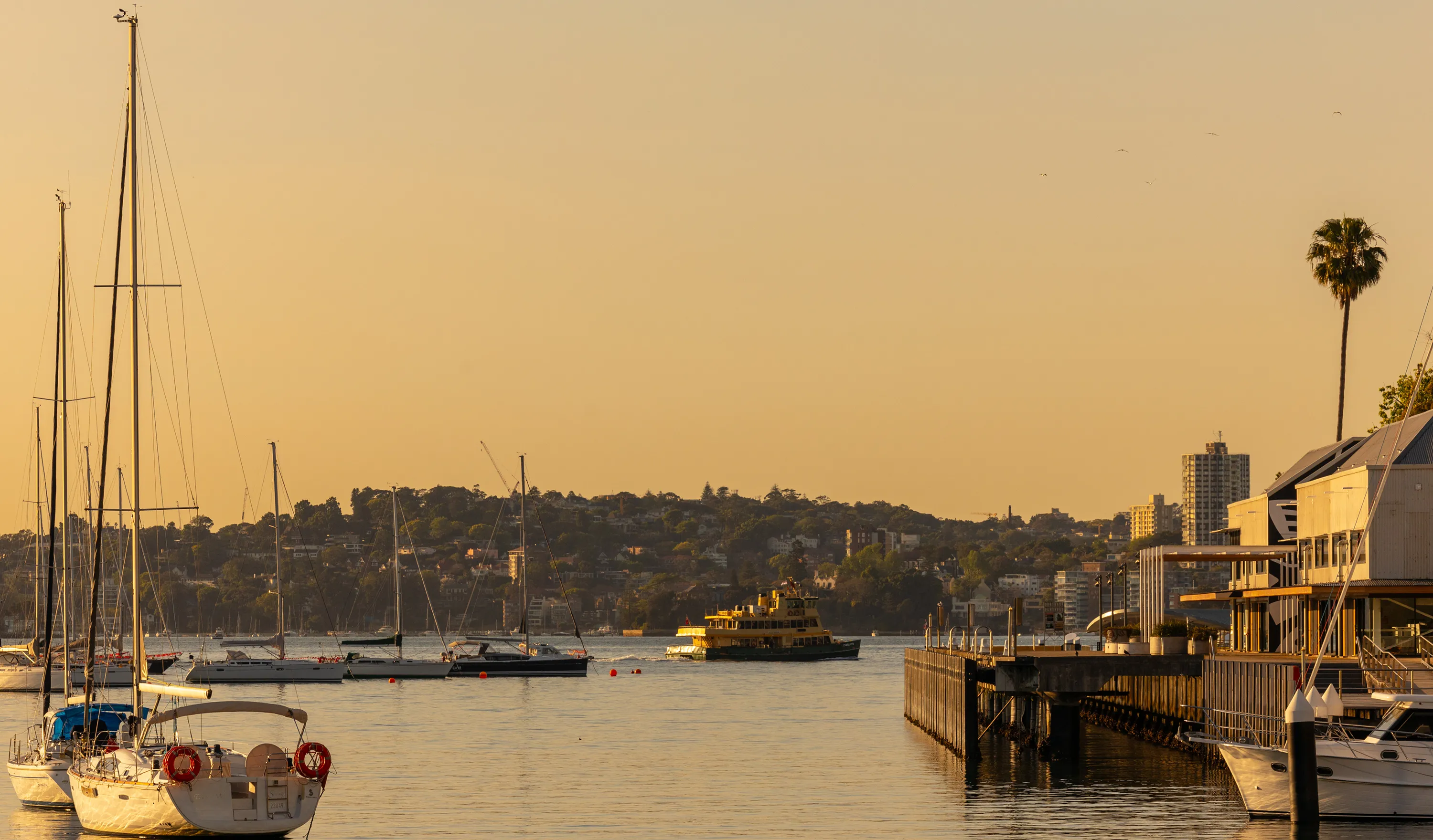 Pienza Neutral Bay